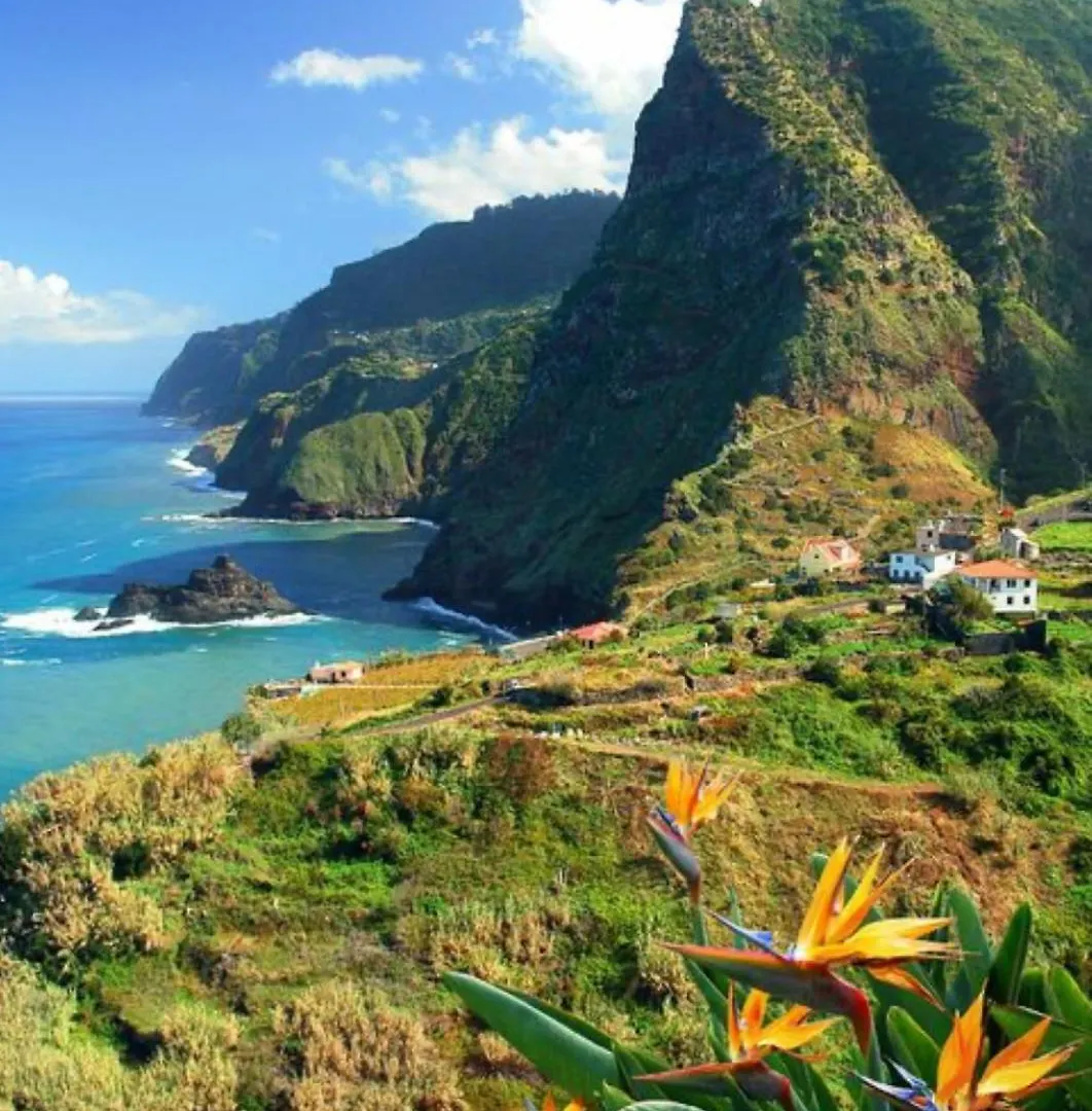 Pana House Lejlighed Calheta