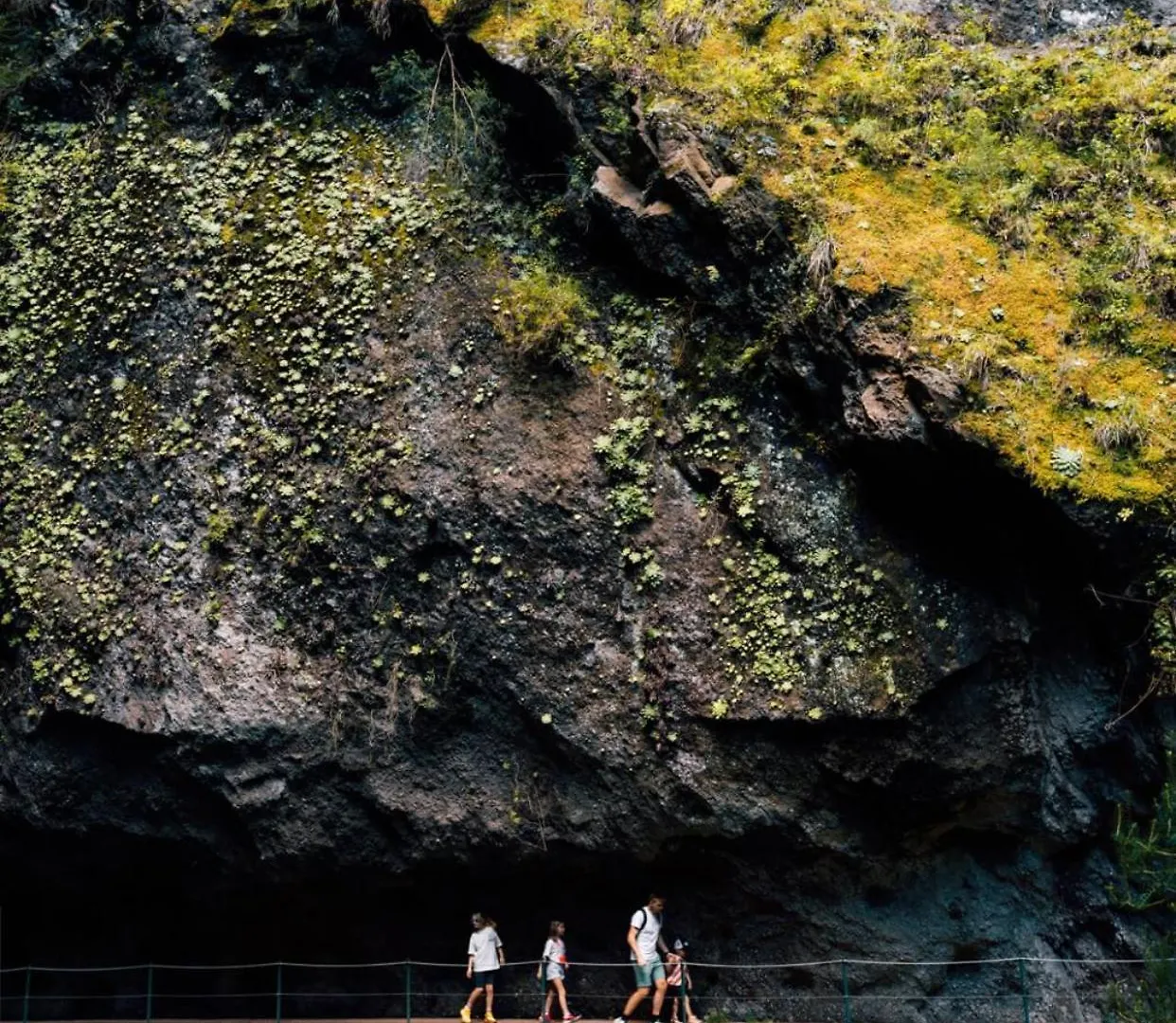 Pana House Lejlighed Calheta
