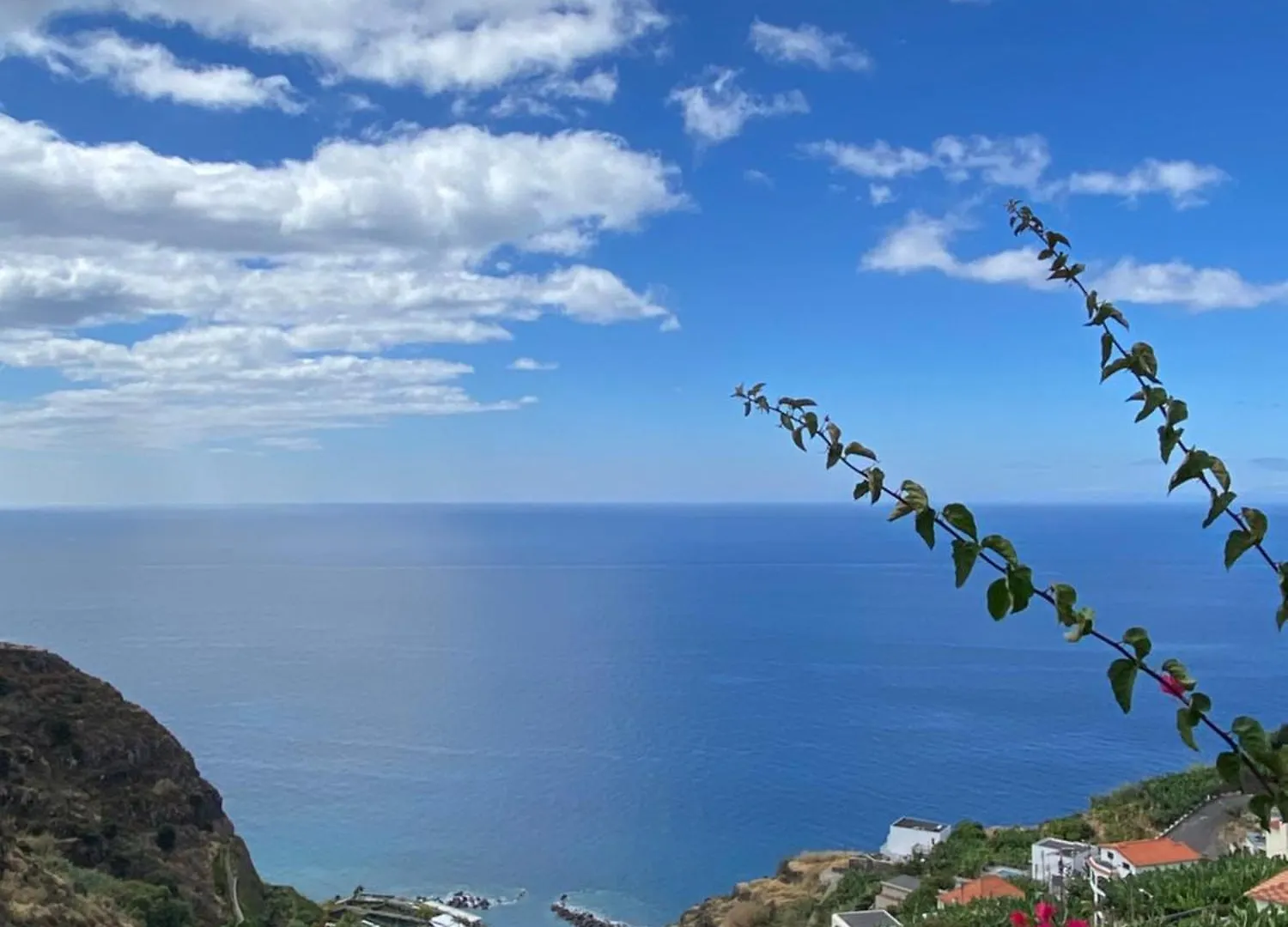 Pana House Lejlighed Calheta  Portugal